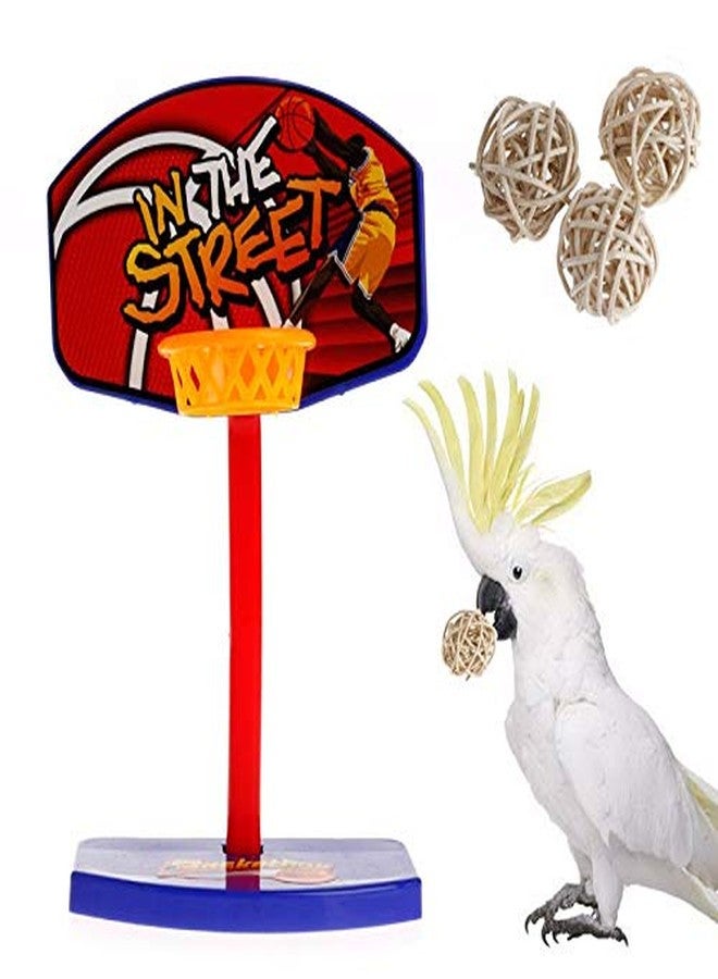 سايج سكوير لعبة كرة سلة تدريبية ممتعة من سيج سكوير للطيور، مزودة بثلاث كرات للعب بها، مناسبة لطيور الكوكاتيل، وطيور الحب، والببغاء الأسترالي، وببغاء الشمس، والكناري، والببغاء الرمادي الأفريقي، والكوكاتو، والماكاو، والببغاء الأسترالي. - Image 1